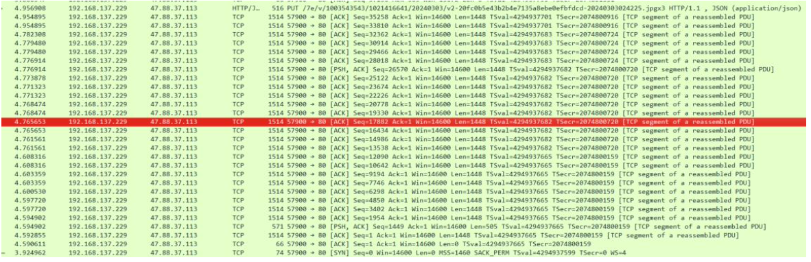 Audio Data in Network Traffic