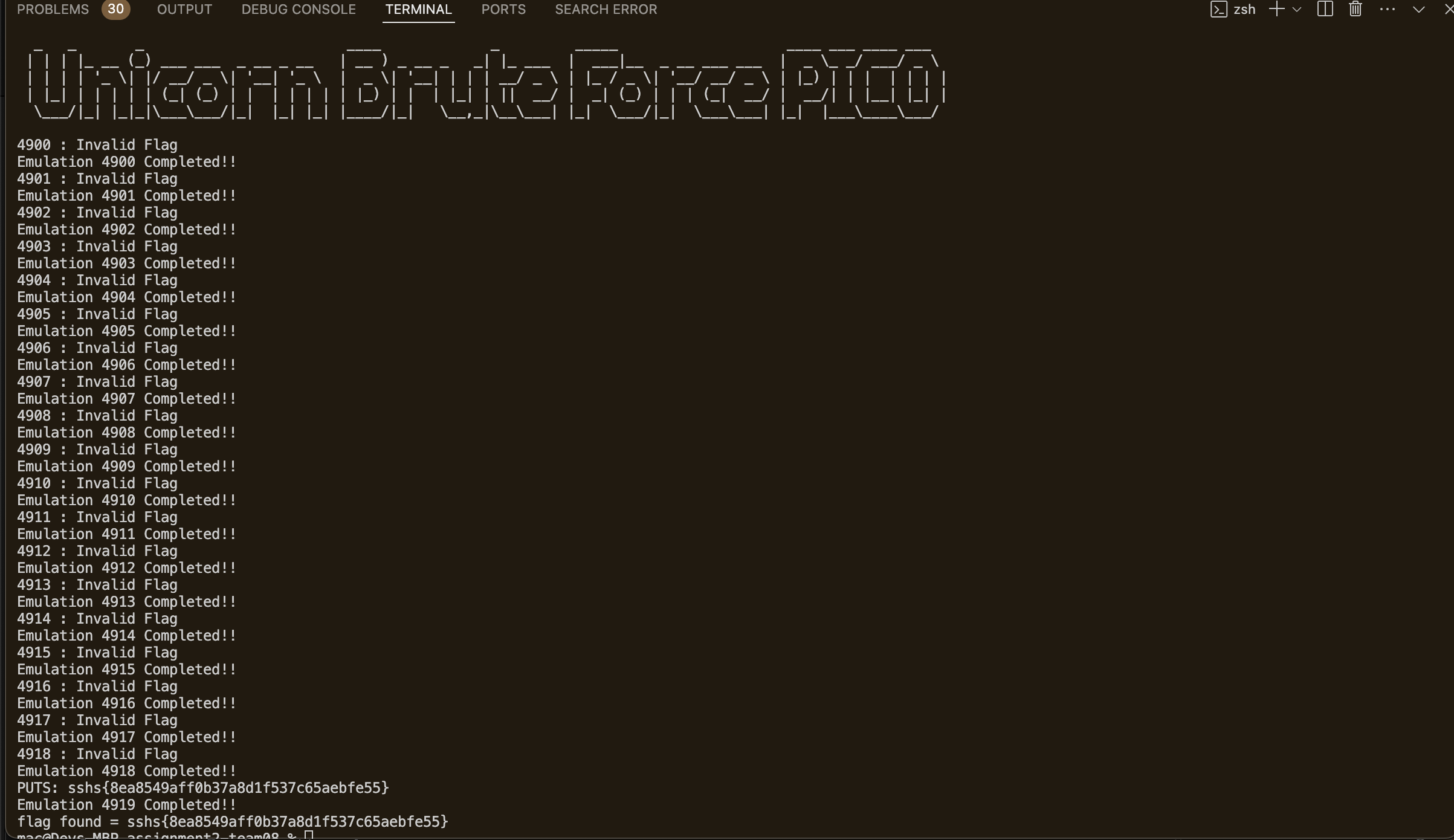 Bruteforce Process